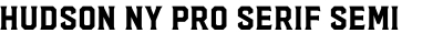 Hudson NY Pro Serif Semi Bold
